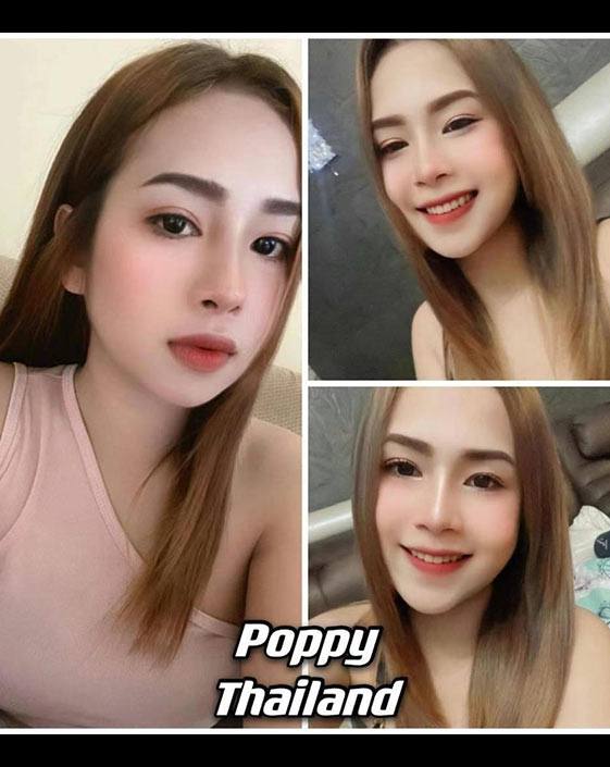 poppy in pahang